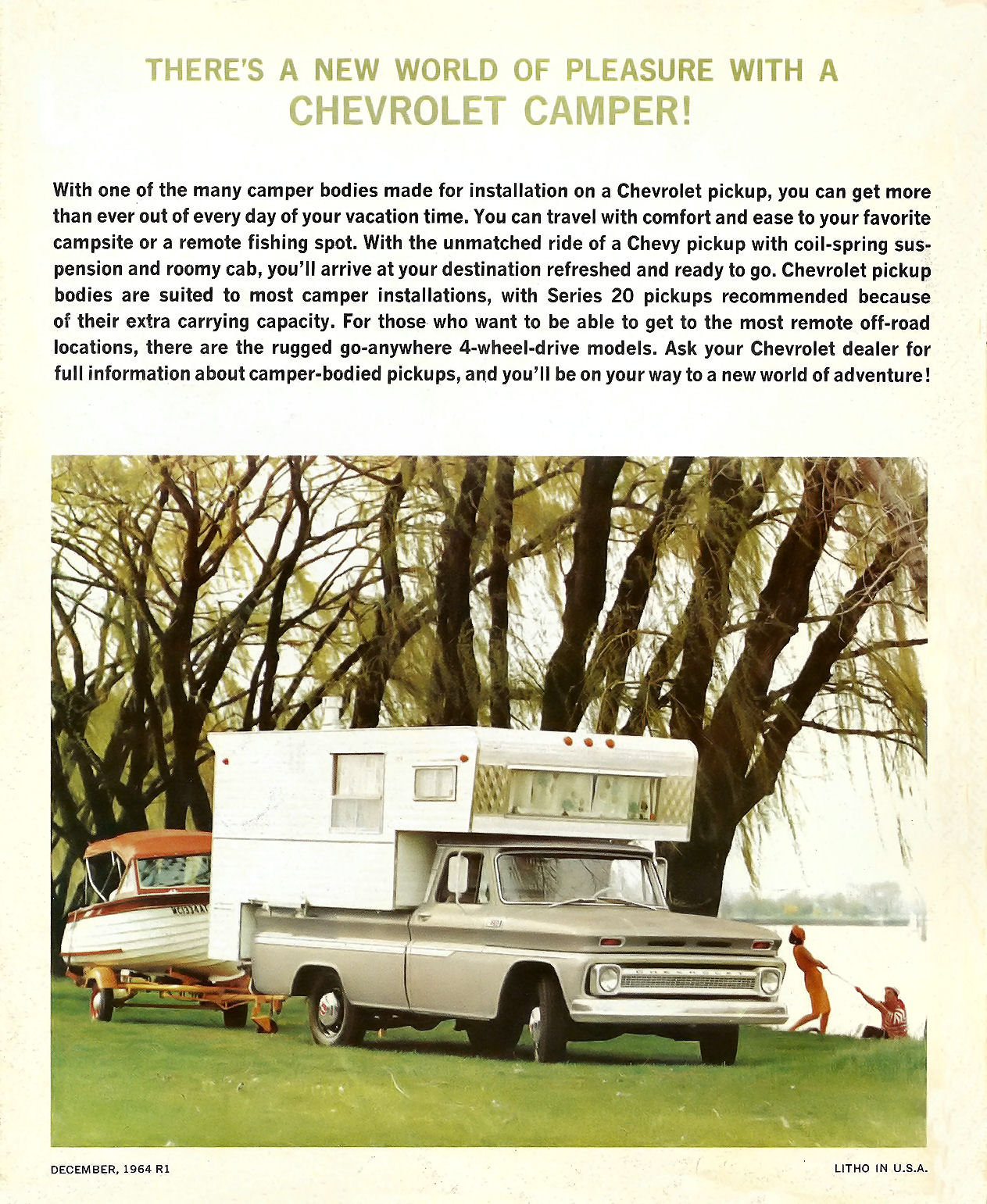 n_1965 Chevrolet Pickups (R1)-12.jpg